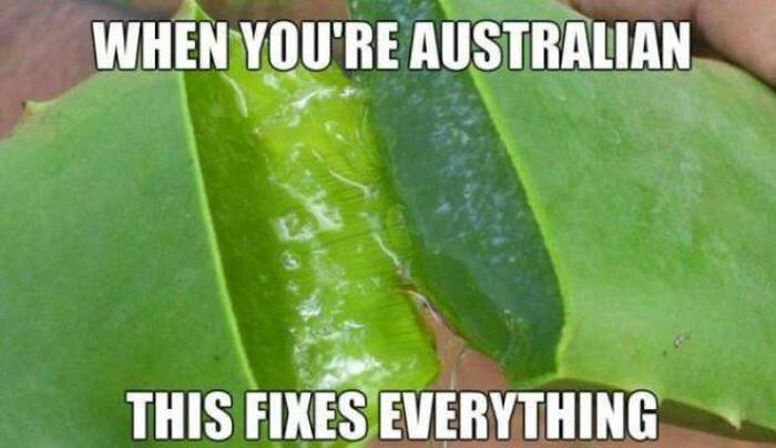 Australia Memes (28 pics)