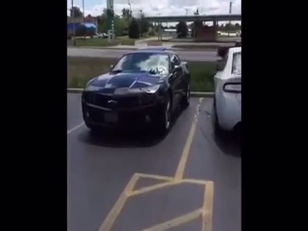 Guy Has Discovered The Key To A Successful Relationship