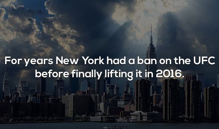 Interesting Facts About MMA and the UFC (17 pics)