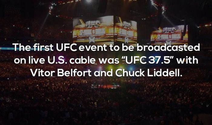 Interesting Facts About MMA and the UFC (17 pics)