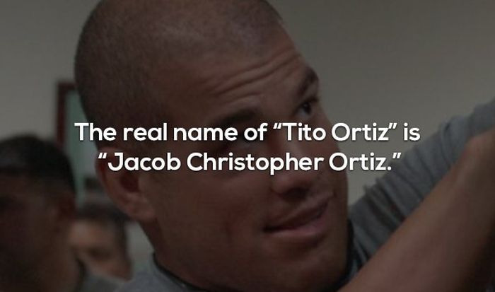 Interesting Facts About MMA and the UFC (17 pics)