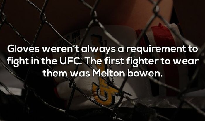 Interesting Facts About MMA and the UFC (17 pics)