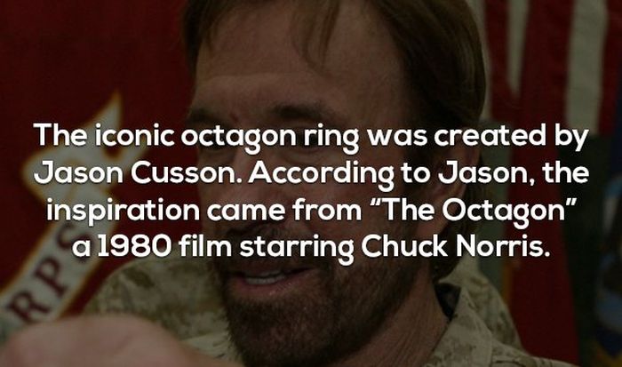 Interesting Facts About MMA and the UFC (17 pics)