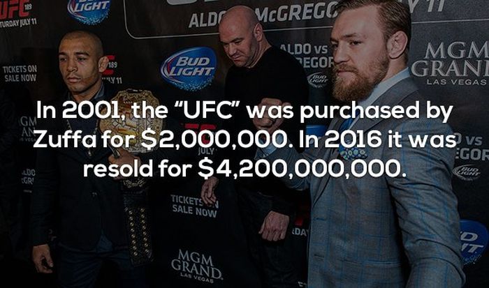 Interesting Facts About MMA and the UFC (17 pics)