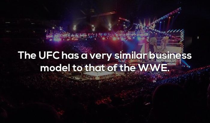 Interesting Facts About MMA and the UFC (17 pics)