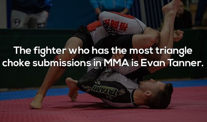 Interesting Facts About MMA and the UFC (17 pics)