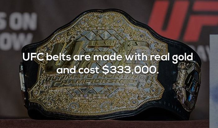 Interesting Facts About MMA And The UFC (17 Pics)