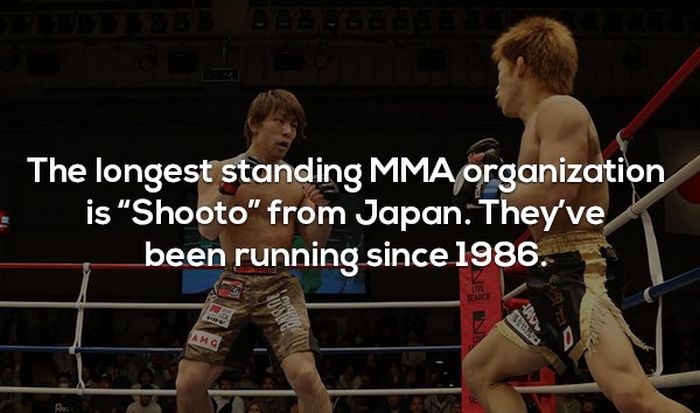 Interesting Facts About MMA and the UFC (17 pics)