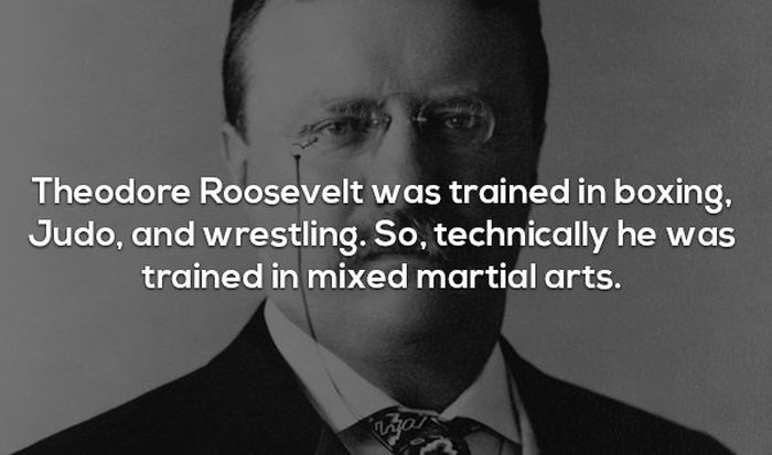 Interesting Facts About MMA and the UFC (17 pics)