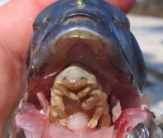 Nature Can Be Scary (19 pics)