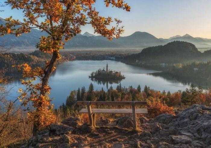 Awesome Pictures (52 pics)