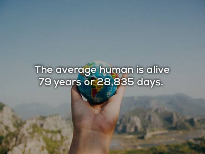 Your Life Could Easily Be Put Into Numbers (17 pics)