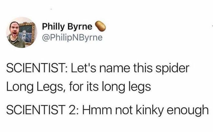 Memes (32 pics)