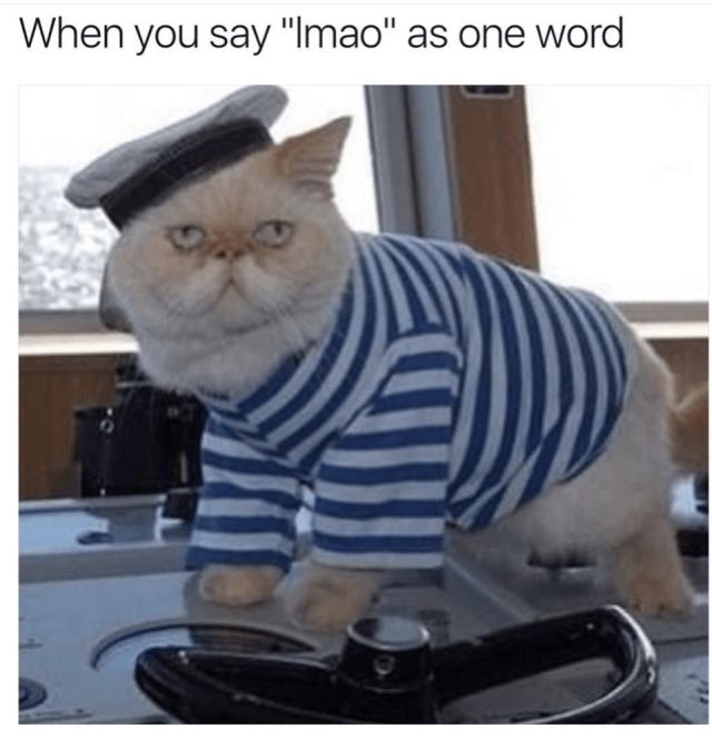 Memes (32 pics)