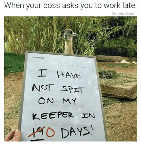 Memes (32 pics)