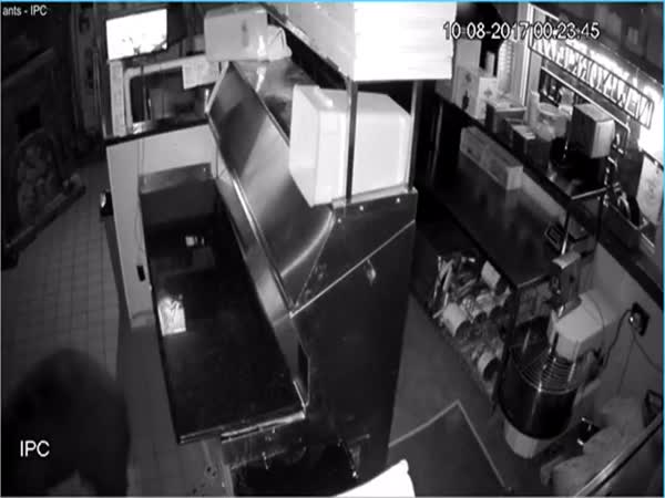 Mama Bear And Cubs Sneak Into Estes Park Pizzeria