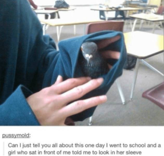 Strange Things In Classrooms (38 pics)