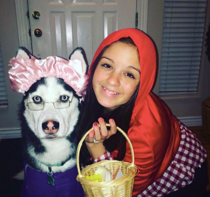 Couples Halloween Costumes For You And Your Dog (23 pics)