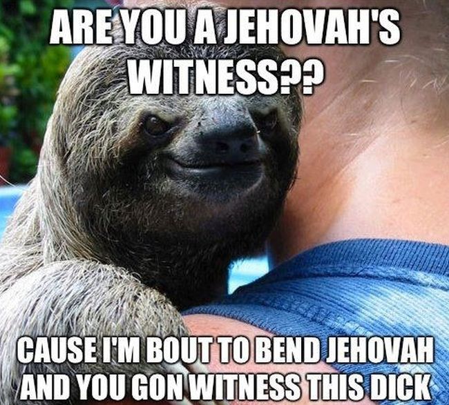 NSFW Memes (13 pics)