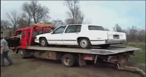 Acid Gifdump, October 13, 2017 (25 gifs)