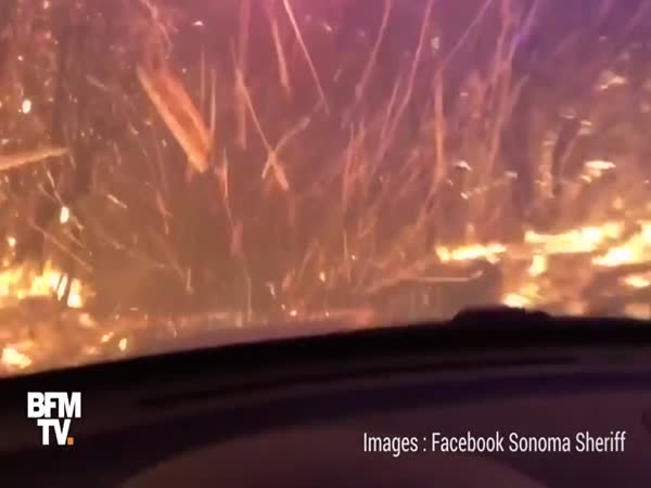 California Wildfires' Devastating Destruction
