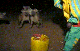 Acid Gifdump, October 16, 2017 (25 gifs)