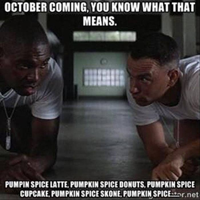 We Can't Argue With This (41 pics)