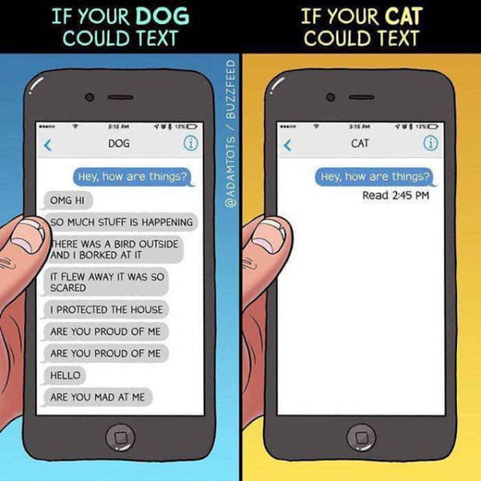 We Can't Argue With This (41 pics)