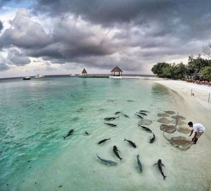 When A Picture Says More Than Just A Thousand Words (44 pics)