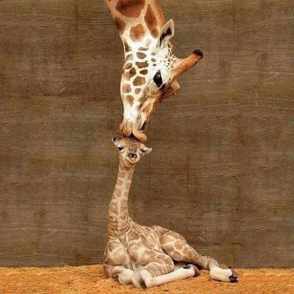 When A Picture Says More Than Just A Thousand Words (44 pics)