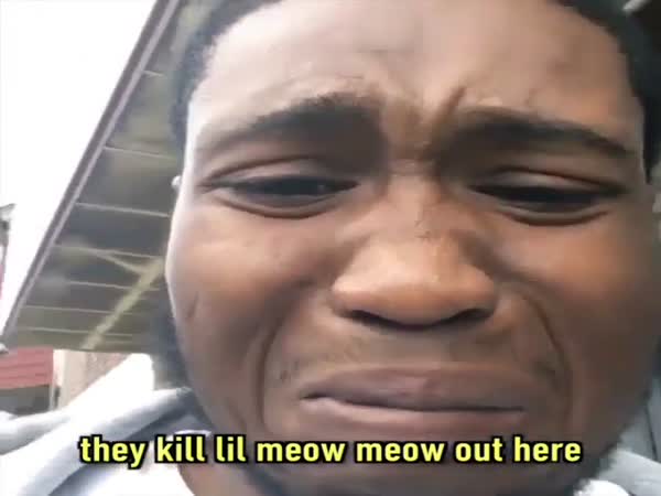 They Done Killed Lil Meow Meow Out Here