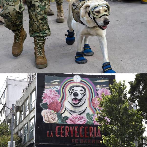 Acid Picdump (96 pics)