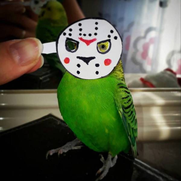 Acid Picdump (96 pics)