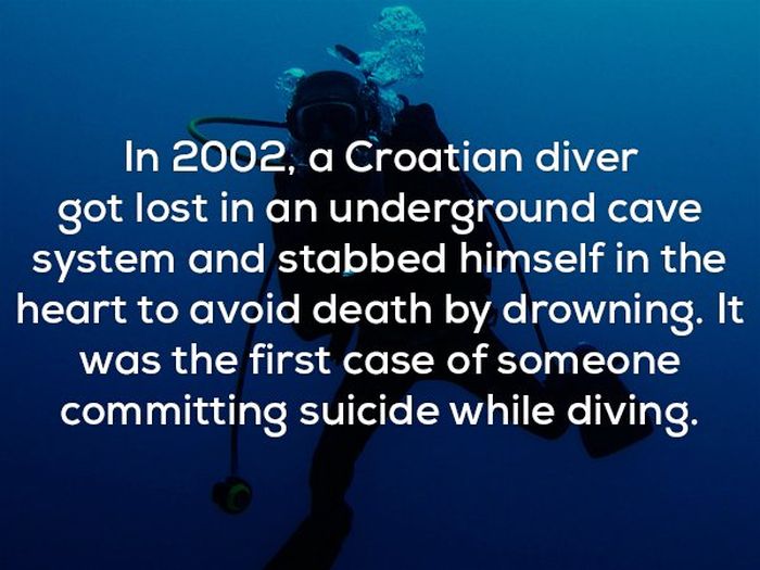 Scary Facts (22 pics)