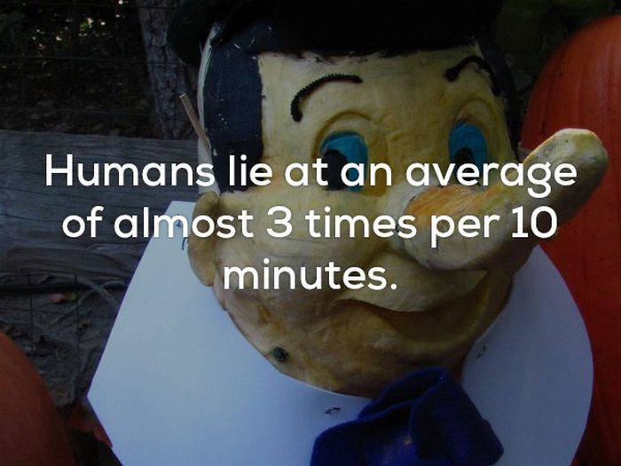 Scary Facts (22 pics)