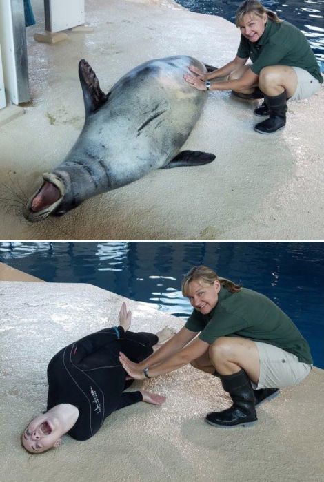 Zookeepers Have Fun (12 pics)