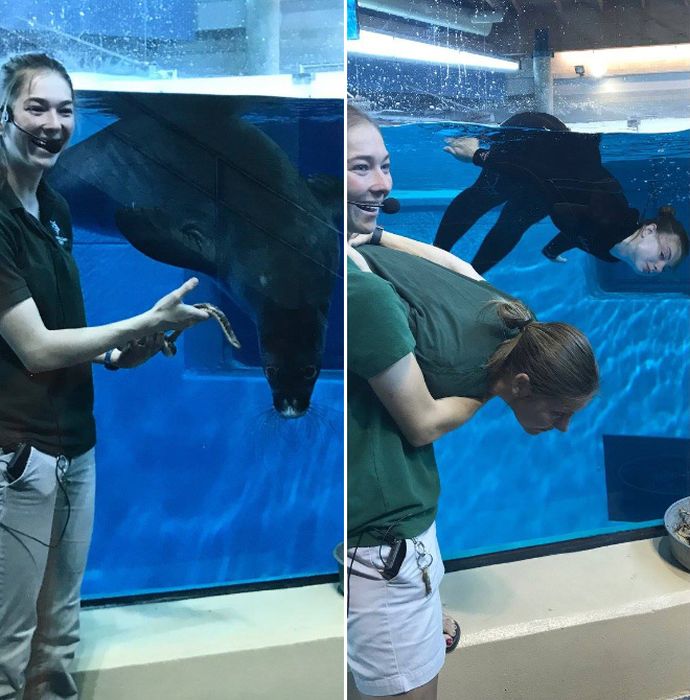 Zookeepers Have Fun (12 pics)