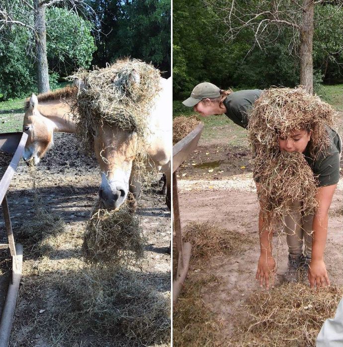 Zookeepers Have Fun (12 pics)