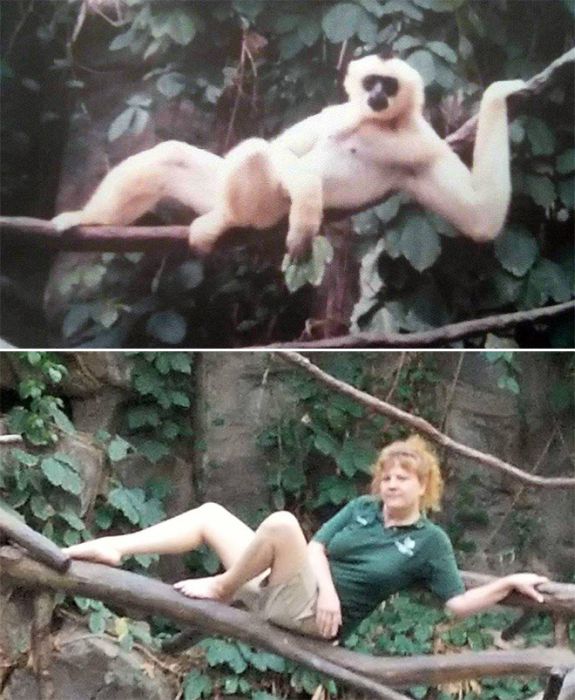 Zookeepers Have Fun (12 pics)