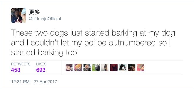 Funny Dog Tweets (15 pics)