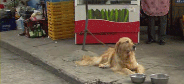 You Didn’t Expect It (30 gifs)