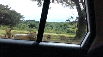 You Didn’t Expect It (30 gifs)