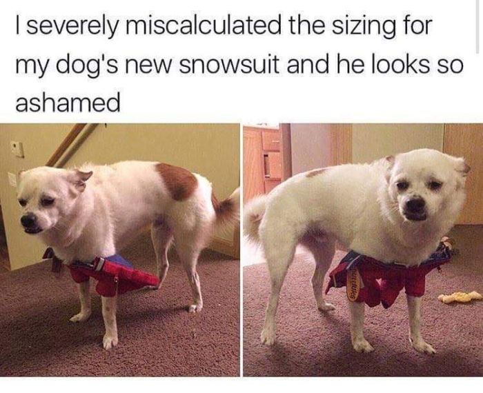 Funny Pictures With Texts (22 pics)