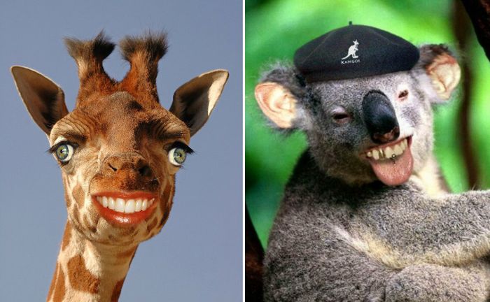 Animals With Human Mouths (20 pics)