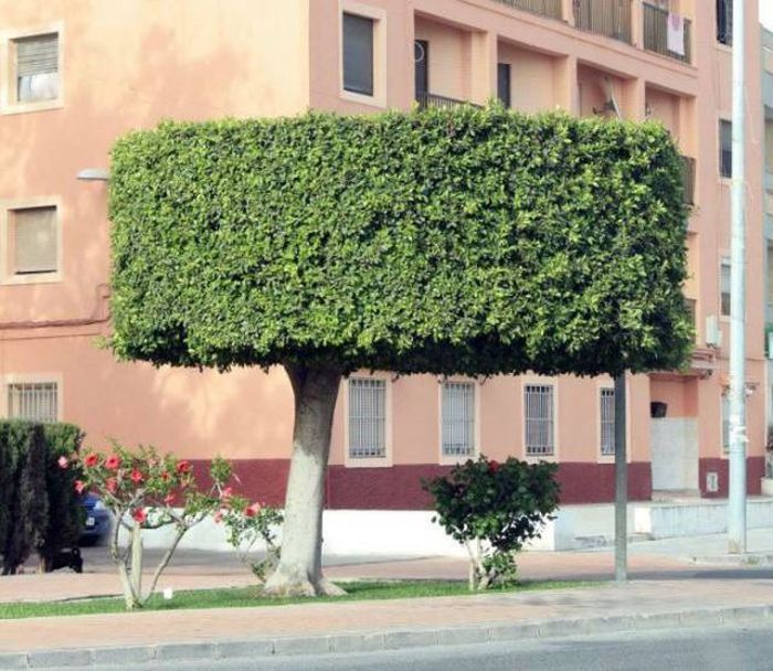 Acid Picdump (91 pics)