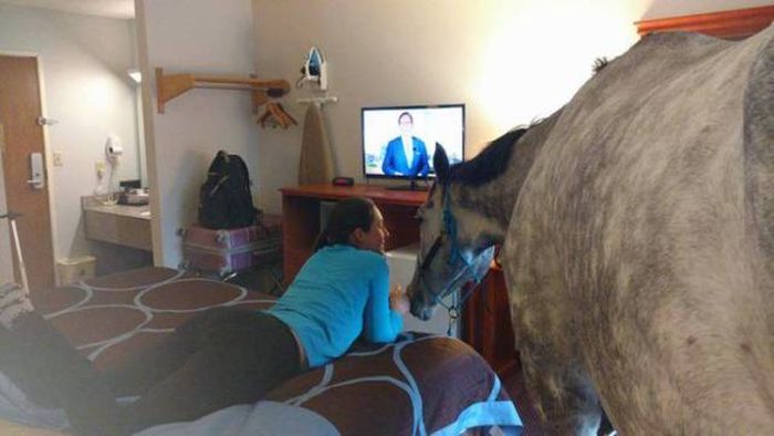 Acid Picdump (91 pics)