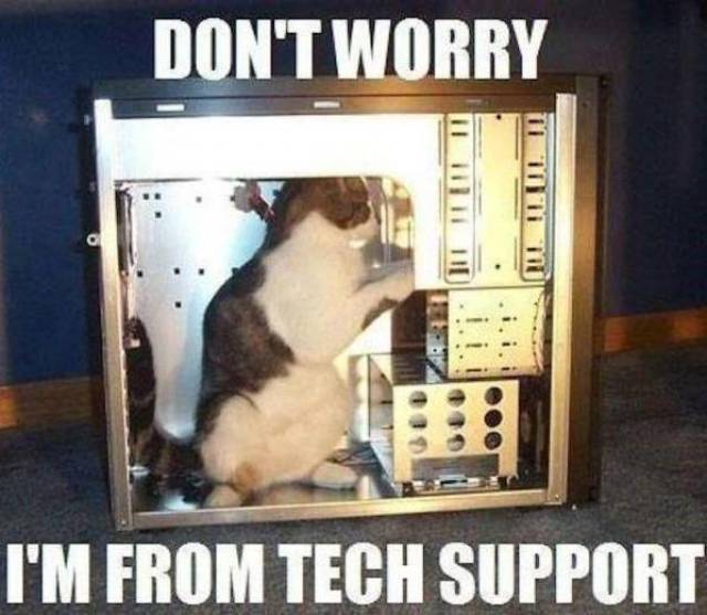Acid Picdump (91 pics)