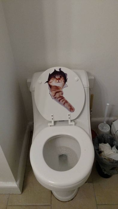 Acid Picdump (91 pics)