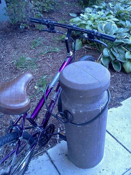 Acid Picdump (91 pics)
