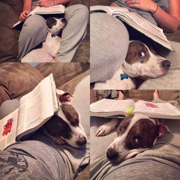 Acid Picdump (91 pics)
